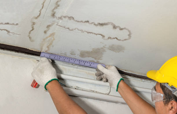 Affordable Flood Damage Cleanup solutions in Chester, NJ